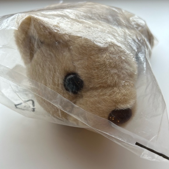 NIB Teddy Bear Photo Frame - Picture 2 of 4